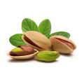 Hot Sales wholesale Roasted Salted pistachios with best price